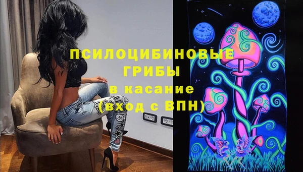 крисы Касимов
