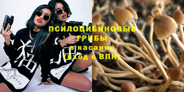 крисы Касимов