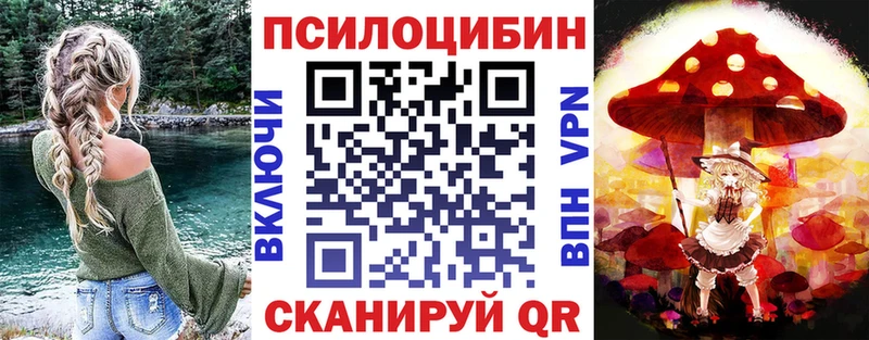 Купить закладки  Свободный  Псилоцибиновые грибы Cubensis 